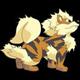 Arcanine