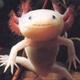 Matt3502