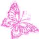 cammel