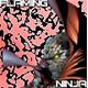 flamingninja