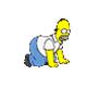 homer_rox