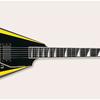 ESP Guitar