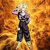 Trunks