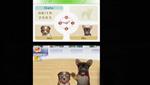 Nintendogs: Dachshund and Friend