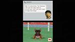 Nintendogs: Dachshund and Friend
