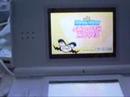Wii on Nintendo DS Lite