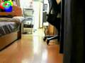 Hitch****'s Ninja Cat comes closer without moving