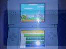 Nintendo Ds Help Black Or White Michael Jackson
